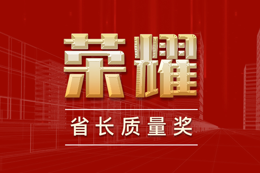 “省長質量獎”為友誼咨詢榮譽榜再添新彩